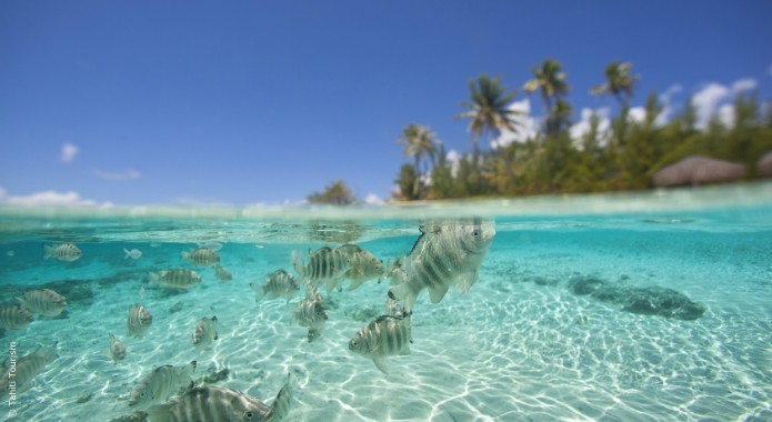 Image île