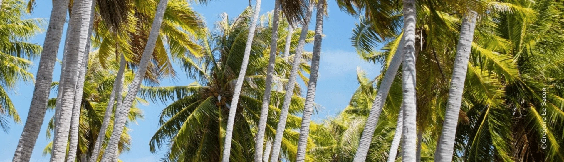 Envolez-vous avec Air Tahiti